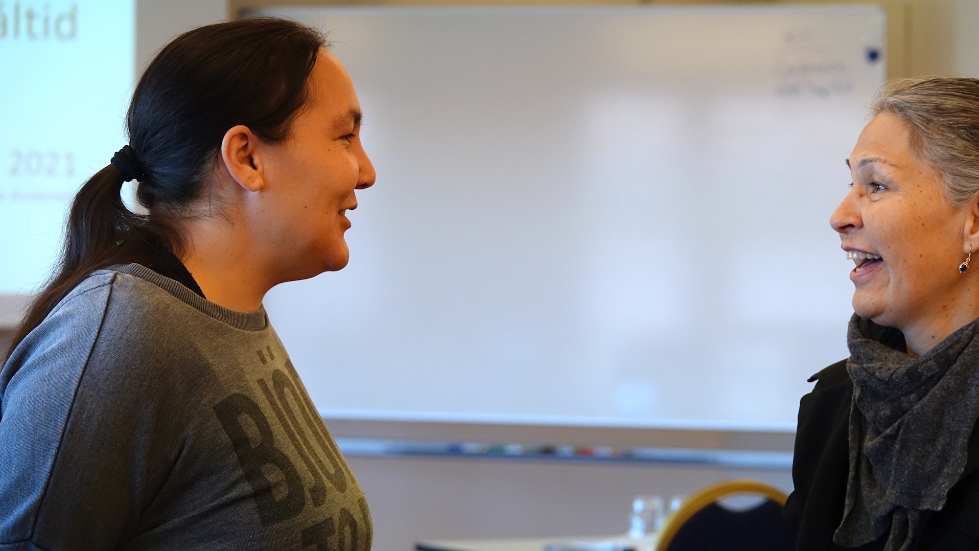 Kristine Og Fagperson