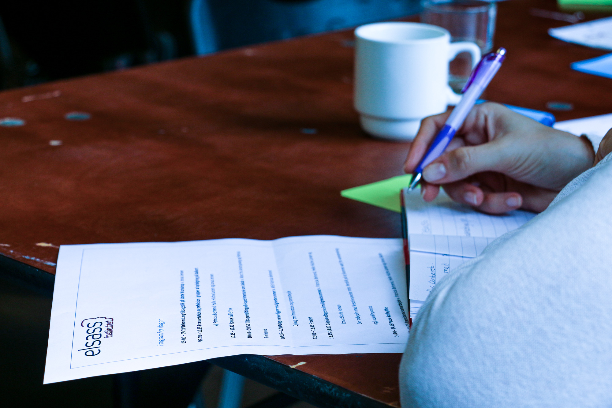 Jonstrupvang Projekt Program