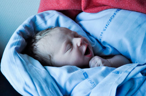 Baby Maria Projekt Web