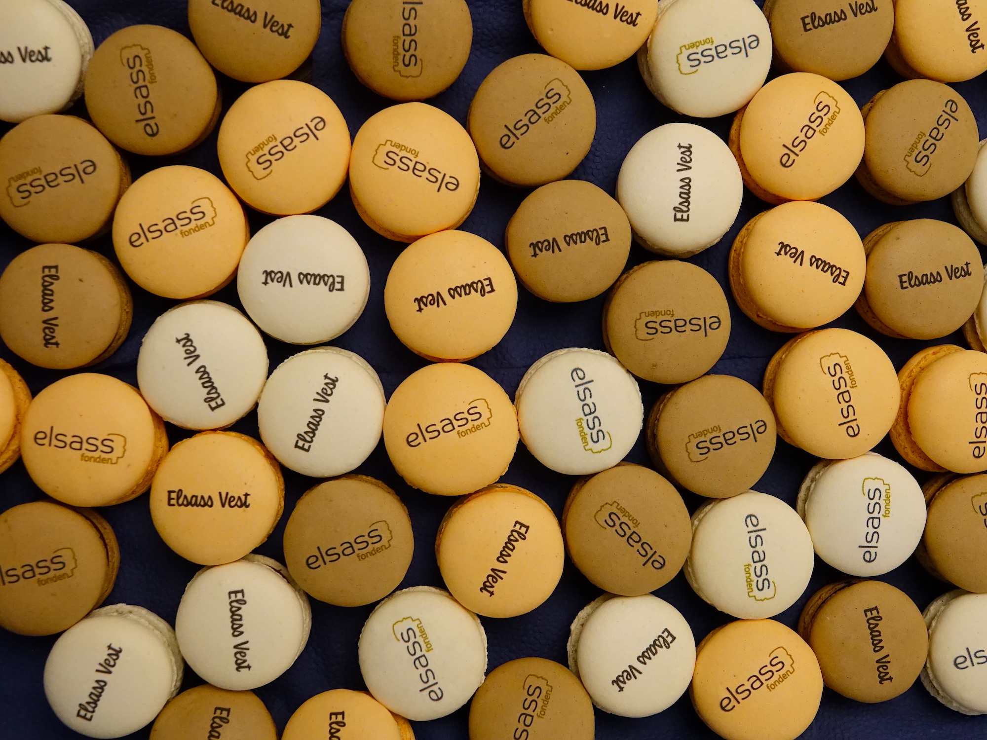 Elsass Vest Kager Åbning WEB