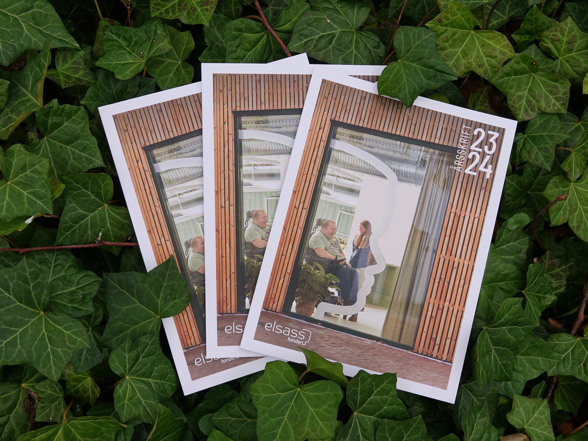 Årsskrift Promo Pix WEB