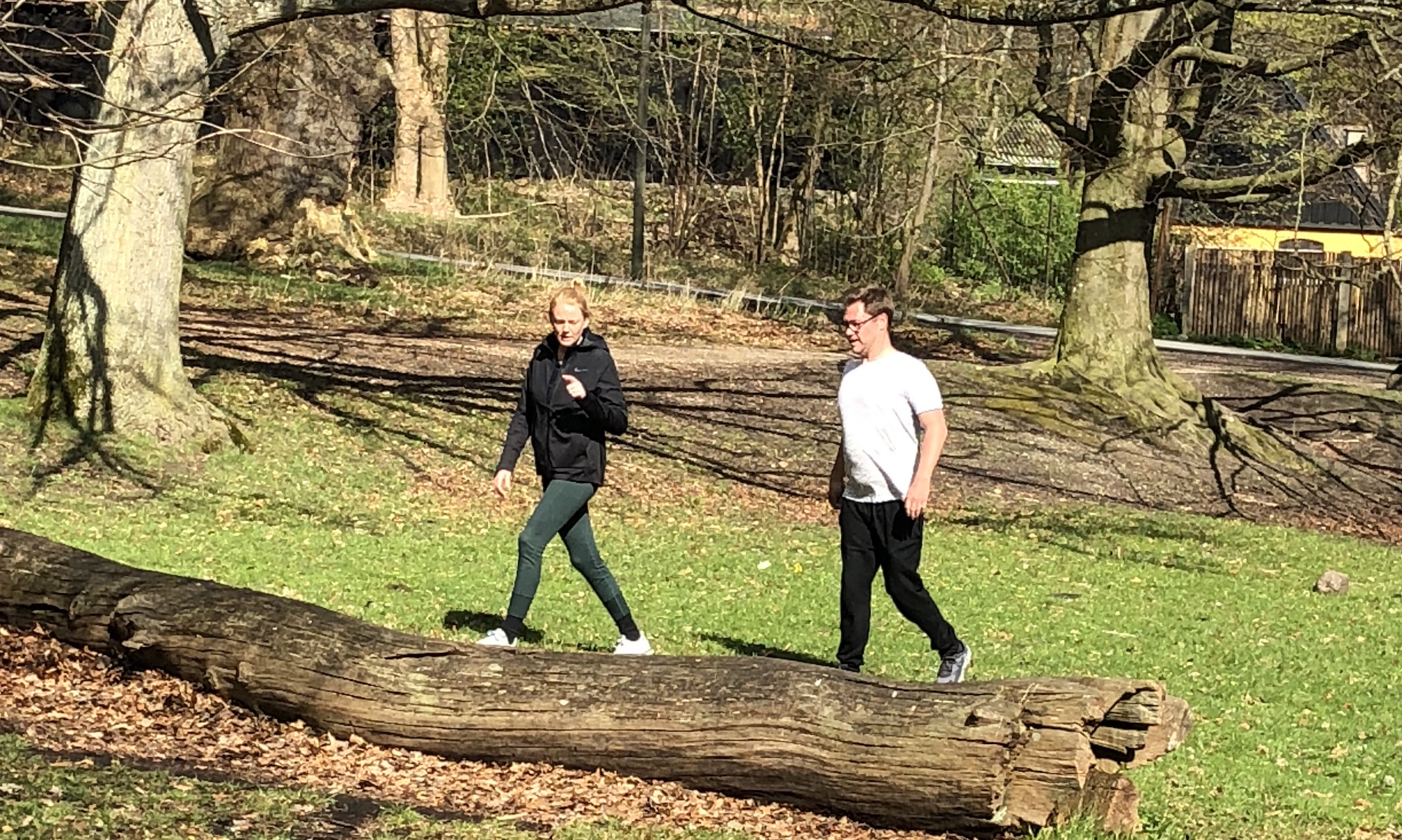 Funktionsboost i skoven